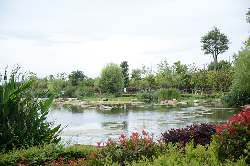 芒市水上公園-景觀(guān)施工